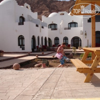 Daniela Diving Resort Dahab 