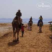 Swisscare Nuweiba Resort Hotel 