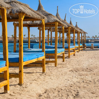 Пляж  в Beach Albatros Resort - Hurghada 4*