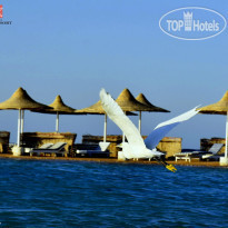 Coral Beach Resort Hurghada 