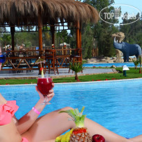 Pickalbatros Jungle Aqua Park Resort - Neverland Hurghada 