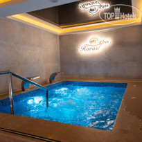 Sunny Days El Palacio Resort Jacuzzi