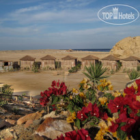 Roots Luxury Camp Redsea 