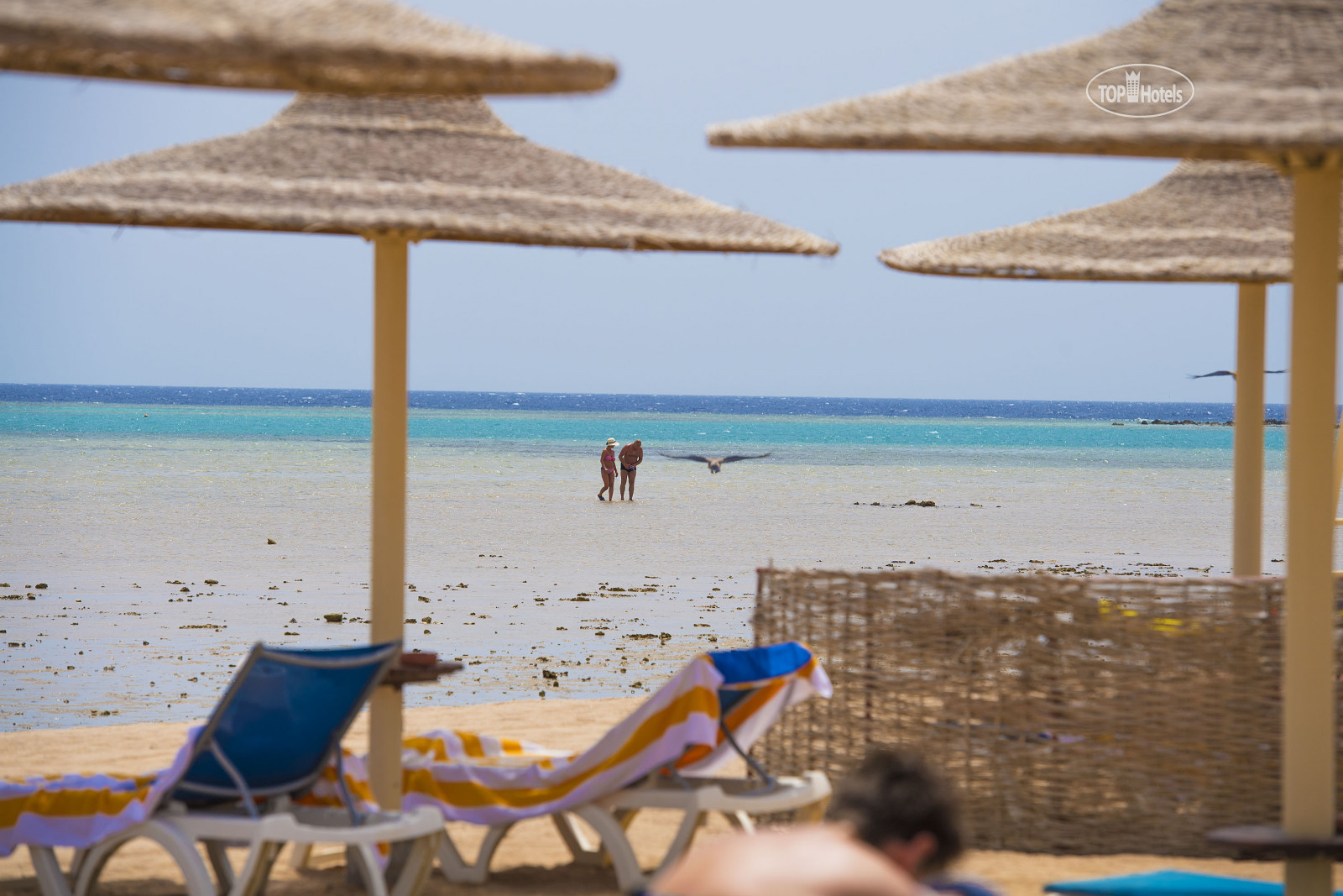 Серри бич хургада. Stella Makadi Beach Resort Spa 5 Египет Хургада. Stella Makadi Beach Resort Spa 5 пляж.