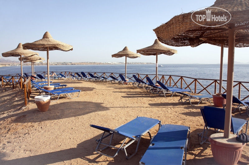 Club reef 4 хадаба шарм эль шейх. Отель Club Reef Hotel. Клаб риф 4 Шарм-Эль-Шейх. Отель Faraana Reef Resort 4 Шарм-Эль-Шейх. Sharm Reef 4* Хадаба, Шарм-Эль-Шейх, 4.