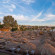 Xperience Kiroseiz Parkland коралловый пляж «Hilltop Beach