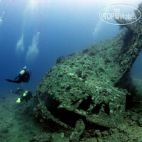 Camel Dive Club & Hotel 