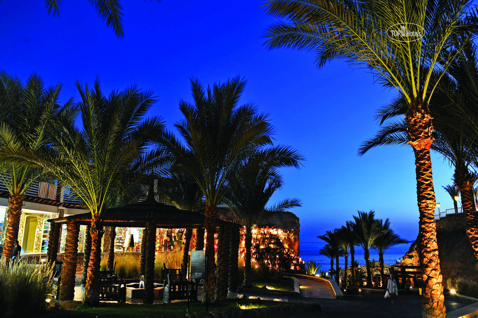 Отели египта риф оазис. Оазис Бич Резорт Шарм-Эль-Шейх. Отель Reef Oasis Beach Resort 5. Египет Шарм-Эль-Шейх отель риф Оазис. Отель Reef Oasis Beach Resort 5 Египет Шарм-Эль-Шейх.