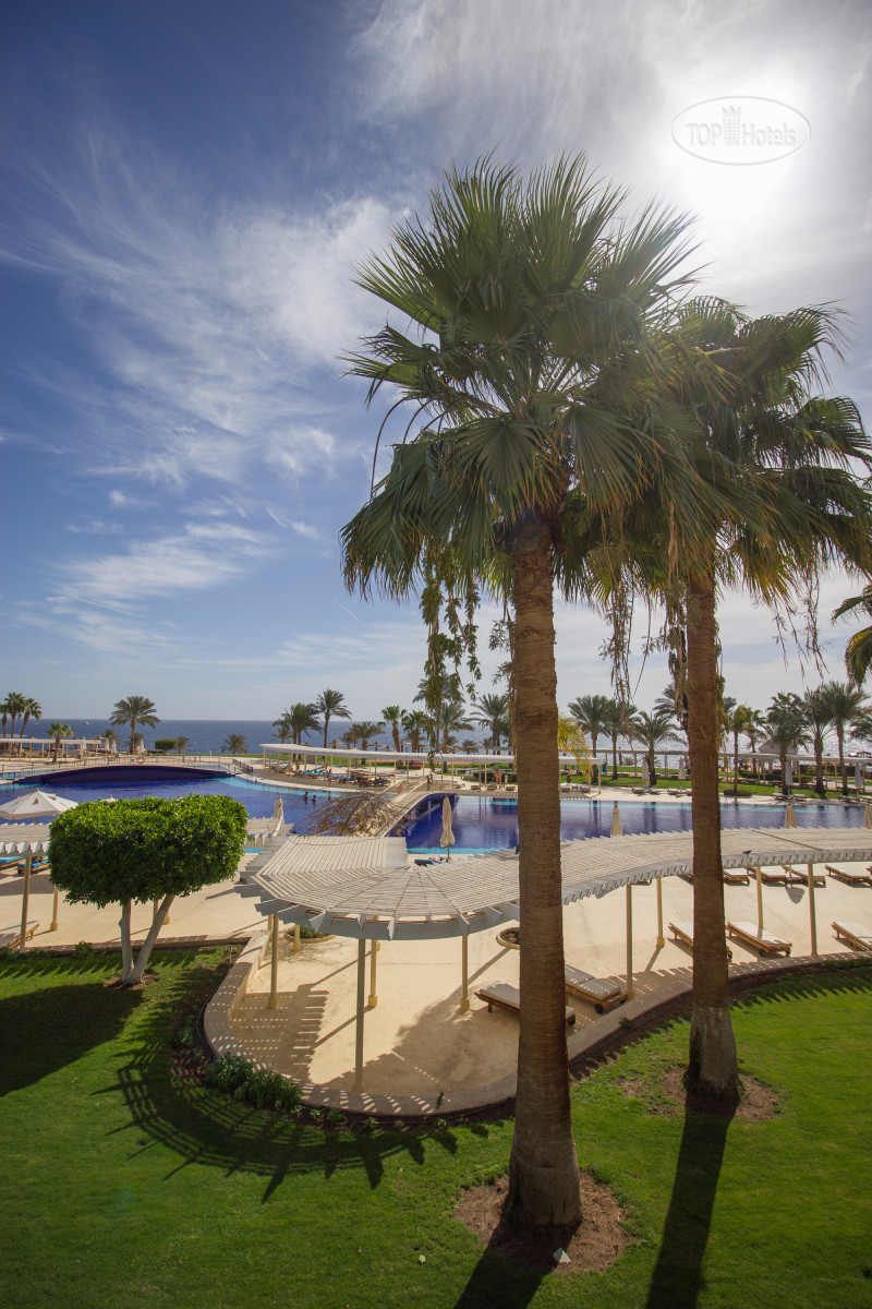 Monte carlo sharm resort 5 отзывы. Монте-Карло Шарм-Эль-Шейх Резорт. Отель Monte Carlo Sharm Resort Spa. Монте Карло Шарм Резорт спа 5. Монте Карло отель Египет.