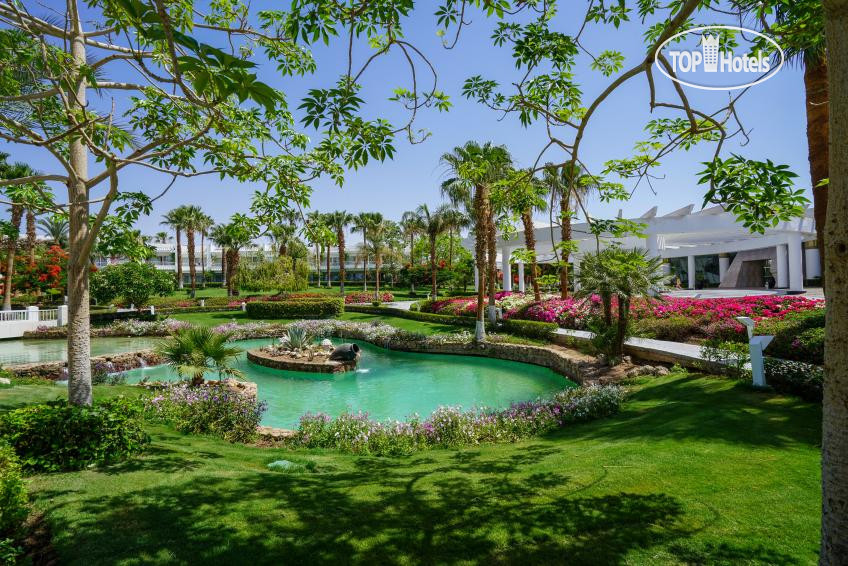 Monte Carlo Sharm Resort Spa 5