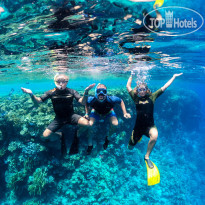 Monte Carlo Sharm Resort & Spa diving