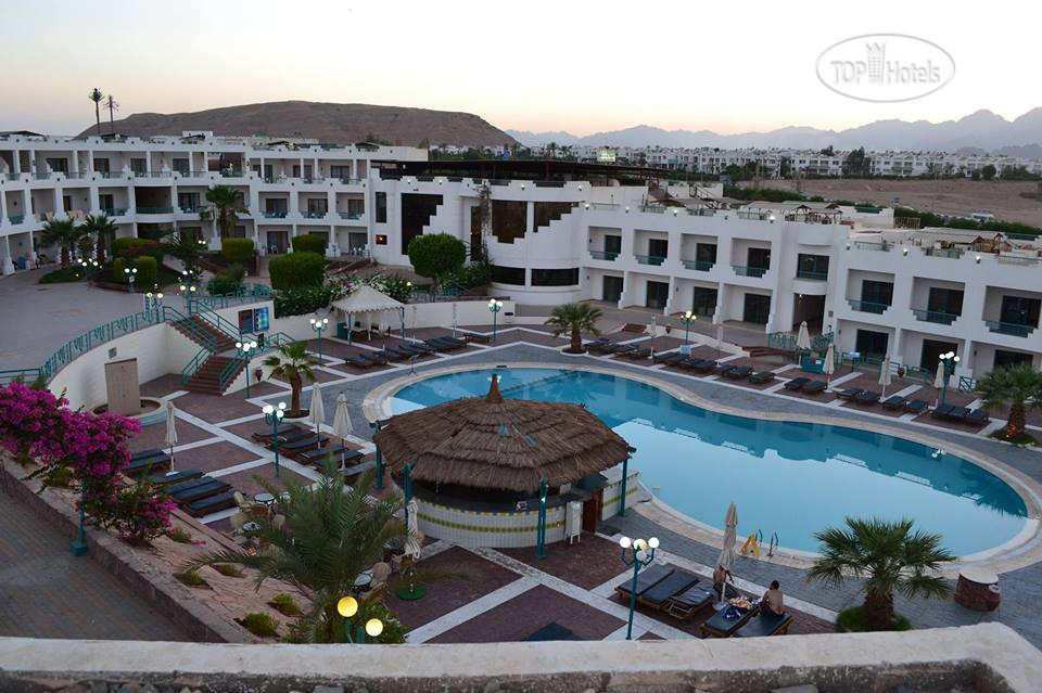 Sharm holiday 4 шарм. Шарм Холидей Резорт 4. Sharm Holiday 4 территория. Sharm Holiday Resort 4 пляж. Отель Шарм Холидей фото.