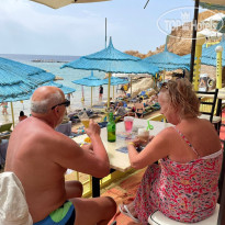 Sharm Holiday Коралловый пляж хадаба