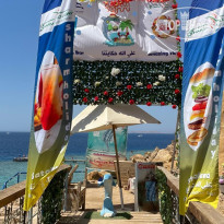 Sharm Holiday Коралловый пляж хадаба