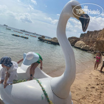 Sharm Holiday Коралловый пляж хадаба