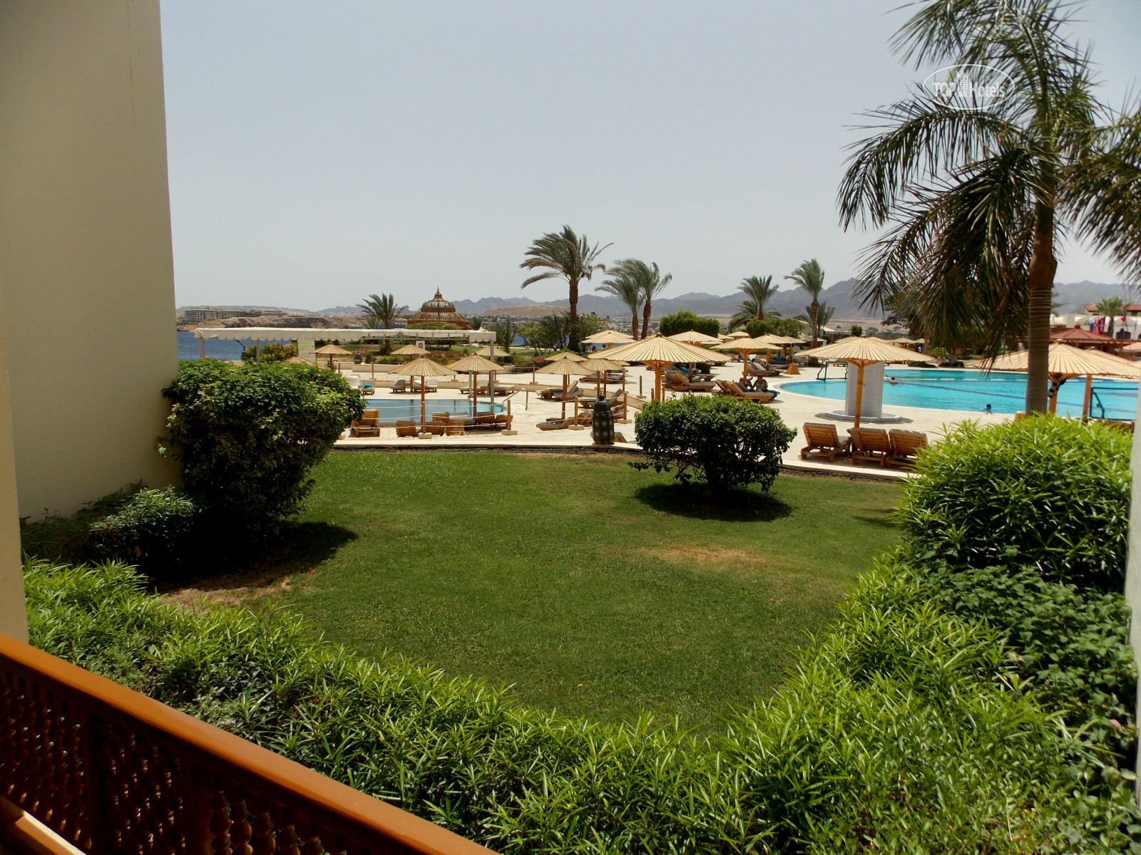 Movenpick resort sharm el sheikh 4. Мовенпик Шарм-Эль-Шейх. Movenpick Resort Sharm el Sheikh 5. Movenpick Sharm el Sheikh 5*. риф. Отель Movenpick Шарм-Эль-Шейх 5 еда.