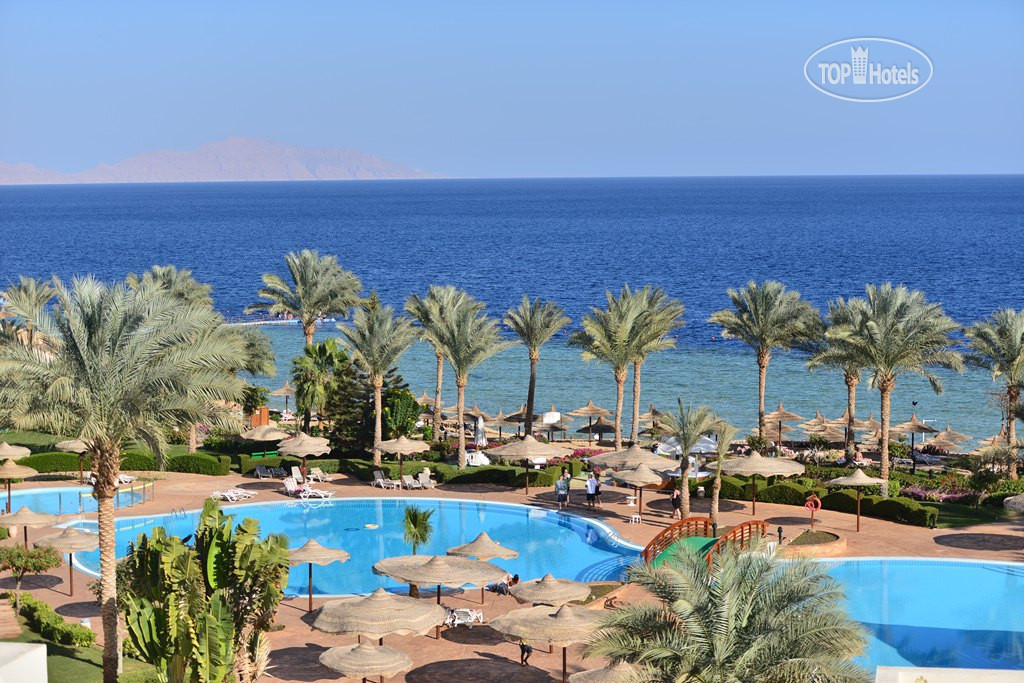 Pickalbatros royal grand sharm. Египет Альбатрос Гранд Шарм. Albatros Royal Grand. 16+ 5 Шарм-Эль-Шейх. Альбатрос Роял Гранд Шарм 16+. Альбатрос Роял Гранд Шарм-Эль-Шейх на карте.