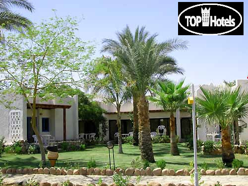 Fayrouz resort 4. Отель египет fayrouz resort. Jaz fayrouz 4*+. Файроуз отель египет. Файроуз отель египет.