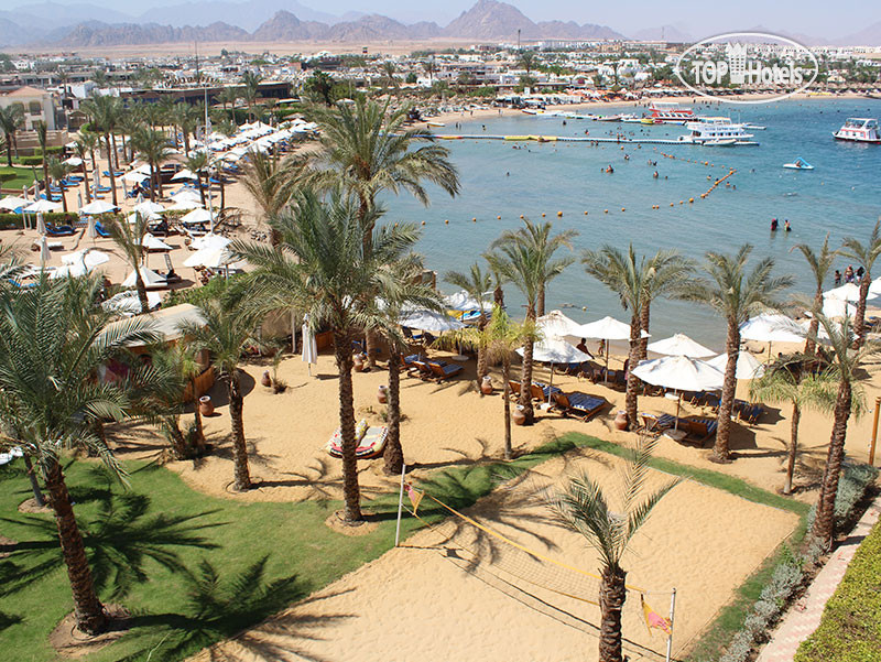 Отель Lido Sharm 4*, Египет, Шарм-Эль-Шейх - описание, фото, отзывы, туры в отел
