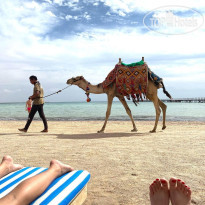 Regency Plaza Aqua Park & Spa Beach Overview