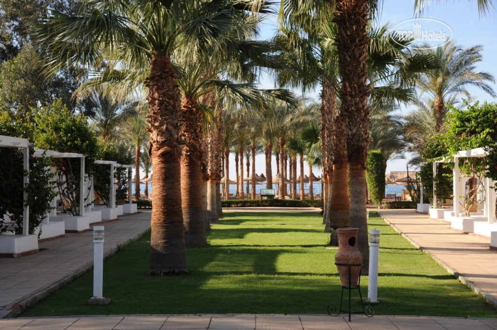 Seti sharm palm. Dessole Seti Sharm Resort. Seti Sharm Resort 4. Дессоле сети Шарм Египет. Fun&Sun Smart Seti Sharm 4*.