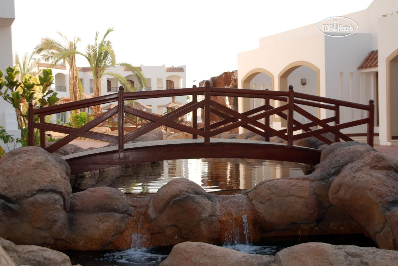 Отель Coral Hills Resort Sharm el Sheikh