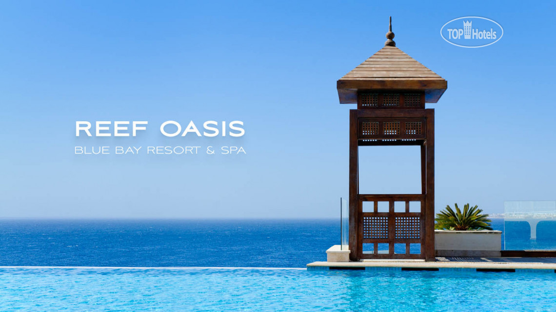 Reef oasis blue bay карта отеля