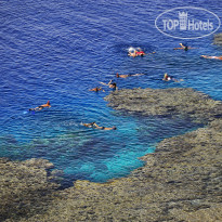 Reef Oasis Blue Bay Resort & Spa 