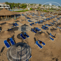 Ivy Cyrene Sharm Resort Adults Friendly Plus 13 