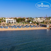 Ivy Cyrene Sharm Resort Adults Friendly Plus 13