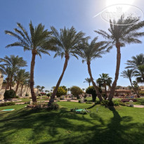 Royal Regency Club Landscape