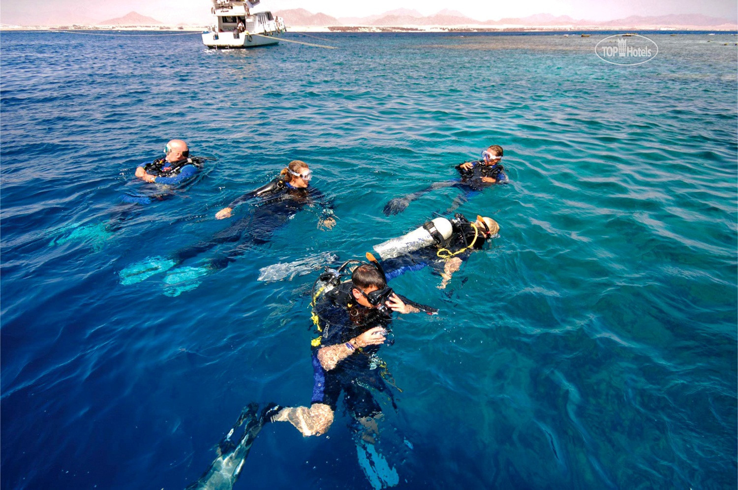 Отели шарма с коралловым рифом. Шарм-Эш-Шейх дайвинг. Sharm el Sheikh Diving.