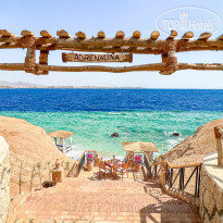 Sharm Club Beach Resort  