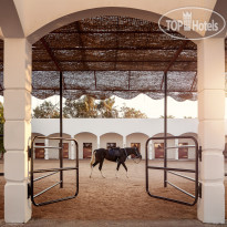 Palm Royale Resort Soma Bay Horse Stable