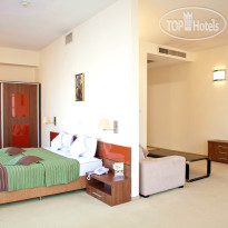Euro Hotels International Polizu