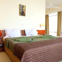 Euro Hotels International Polizu