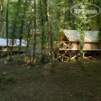 Garuda Glamping Abkhazia 