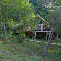 Garuda Glamping Abkhazia 