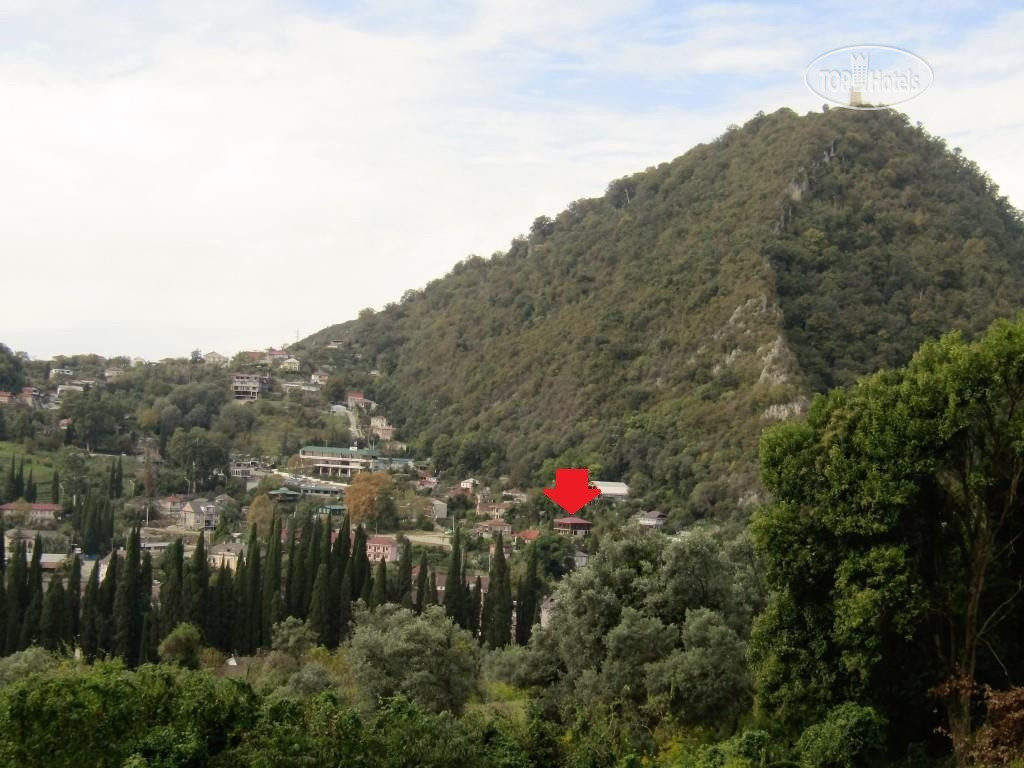 новый афон ресторан на воде. абхазия, исторический санаторий эконом 3*. абхазия новый афон татьяна экскурсии. новый афон эль платана. три платана новый афон.