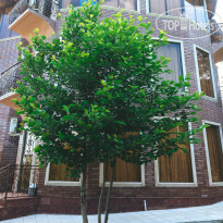 Villa Familia