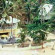 Bananas Village Resort 
