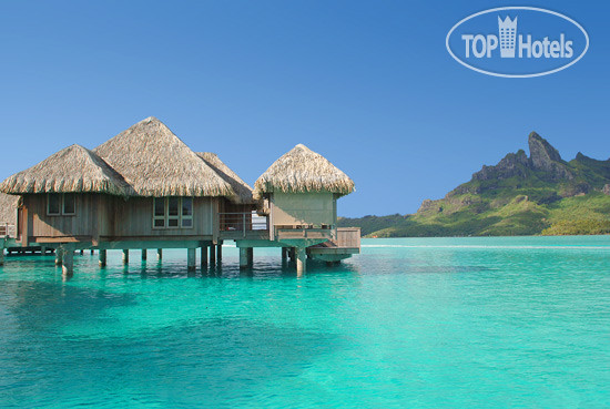 Фотографии отеля  The St.Regis Bora Bora Resort 5*