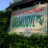 Krokodyl Topornia u Jana 