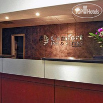 Comfort Inn & Suites Downtown Edmonton