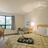 Comfort Inn South 