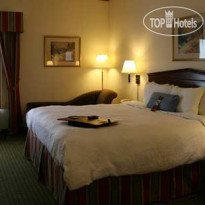 Hampton Inn by Hilton Toronto-Mississauga 