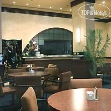 New photos from tourists Best Western Primrose 3*