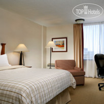 Four Points by Sheraton Toronto Airport 