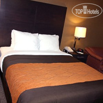 Comfort Inn Brampton Номер