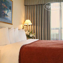 Quality Suites London 